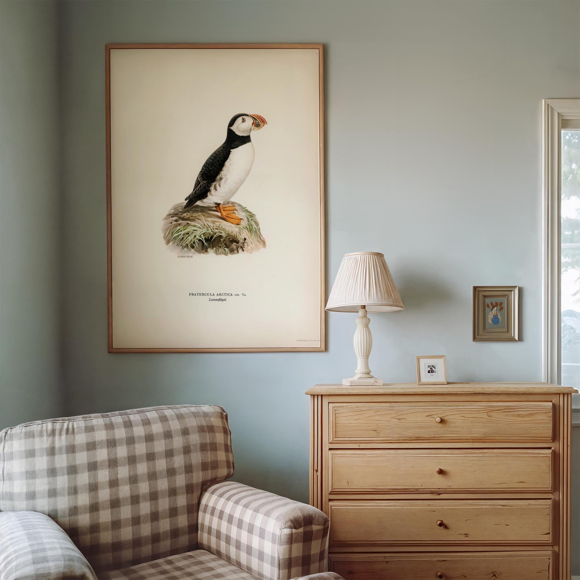 Atlantic Puffin Vintage Bird Wall Art Print-Skudaboo