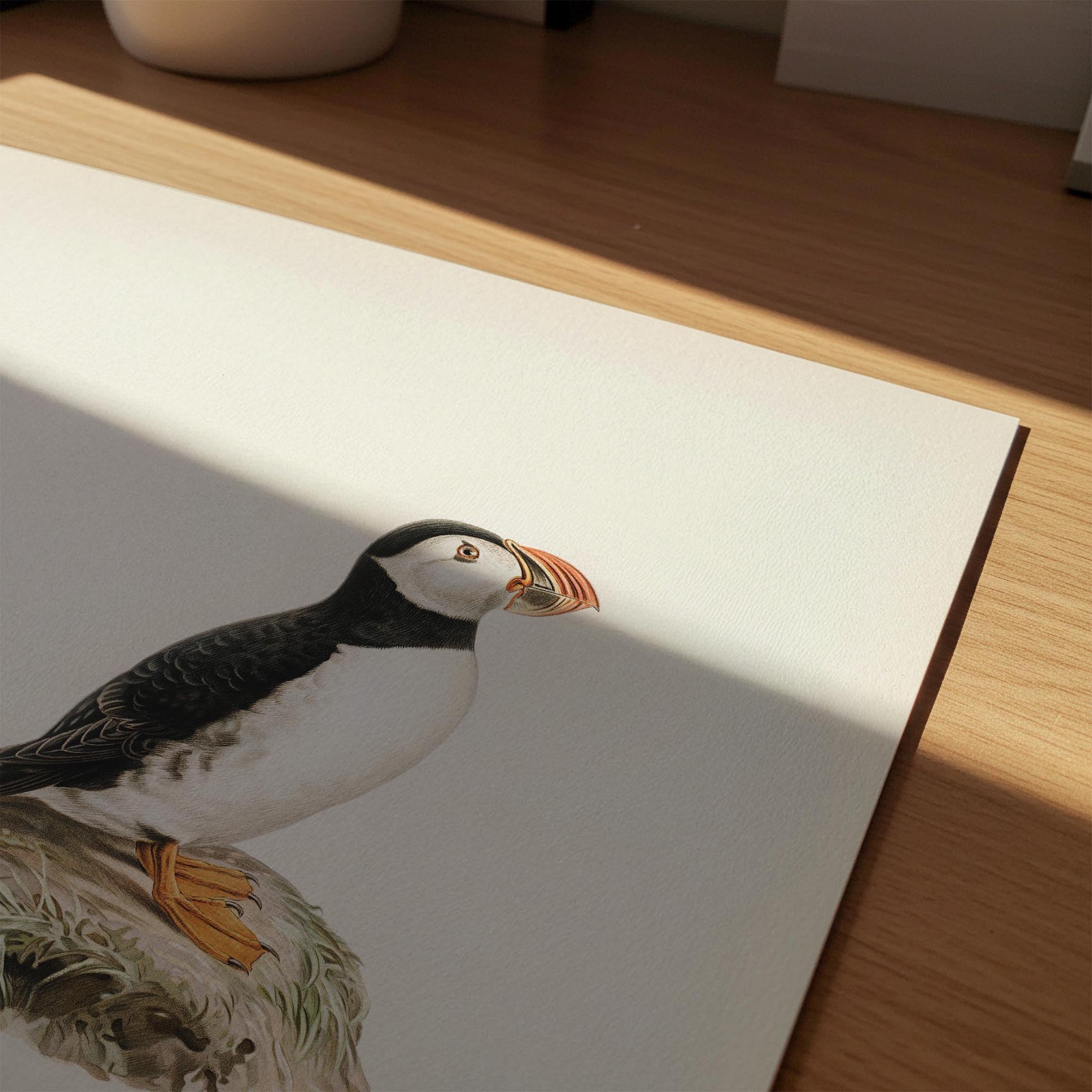 Atlantic Puffin Vintage Bird Wall Art Print-Skudaboo