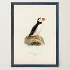 Atlantic Puffin Vintage Bird Wall Art Print-Skudaboo