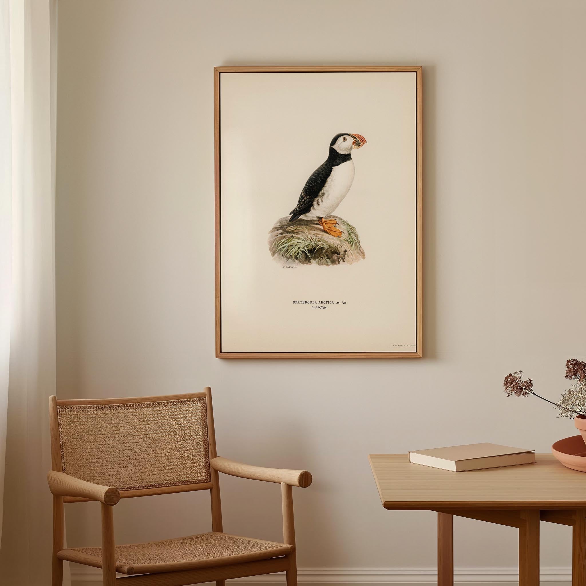 Atlantic Puffin Vintage Bird Wall Art Print-Skudaboo