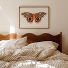 Vintage Moth Illustration Wall Art Print-Skudaboo
