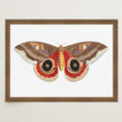 Vintage Moth Illustration Wall Art Print-Skudaboo