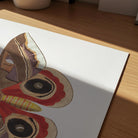 Vintage Moth Illustration Wall Art Print-Skudaboo