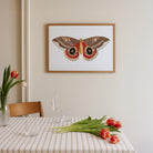 Vintage Moth Illustration Wall Art Print-Skudaboo
