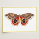 Vintage Moth Illustration Wall Art Print-Skudaboo