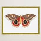 Vintage Moth Illustration Wall Art Print-Skudaboo
