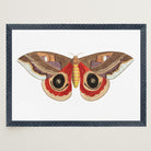 Vintage Moth Illustration Wall Art Print-Skudaboo