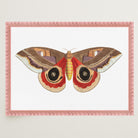 Vintage Moth Illustration Wall Art Print-Skudaboo