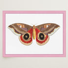 Vintage Moth Illustration Wall Art Print-Skudaboo