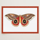 Vintage Moth Illustration Wall Art Print-Skudaboo