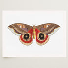 Vintage Moth Illustration Wall Art Print-Skudaboo