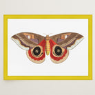 Vintage Moth Illustration Wall Art Print-Skudaboo