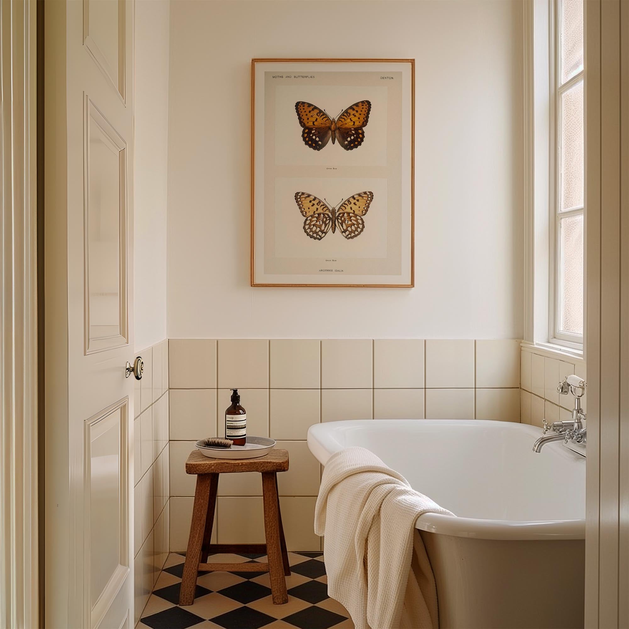 Butterfly and Moth Vintage Wall Art Print-Skudaboo