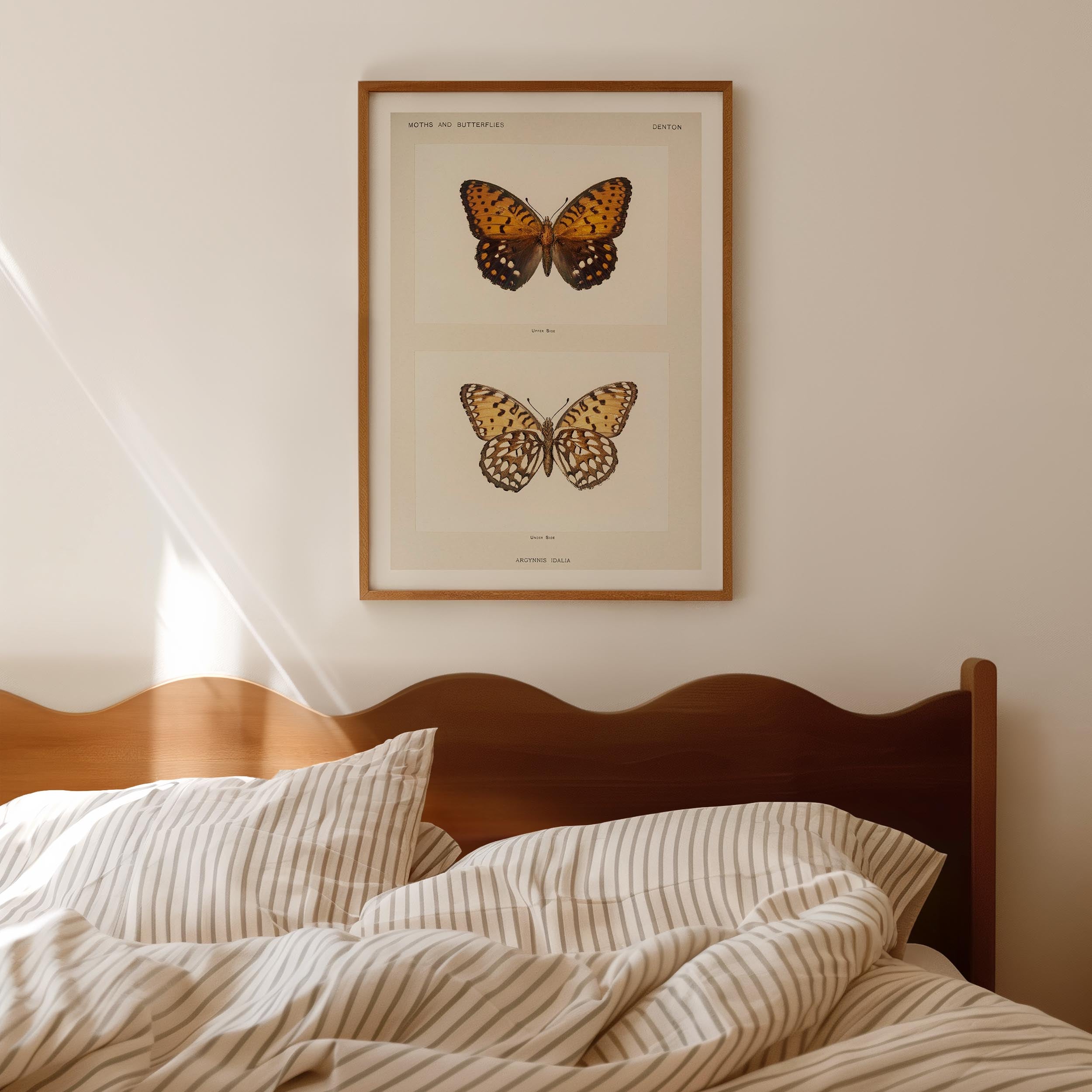 Butterfly and Moth Vintage Wall Art Print-Skudaboo