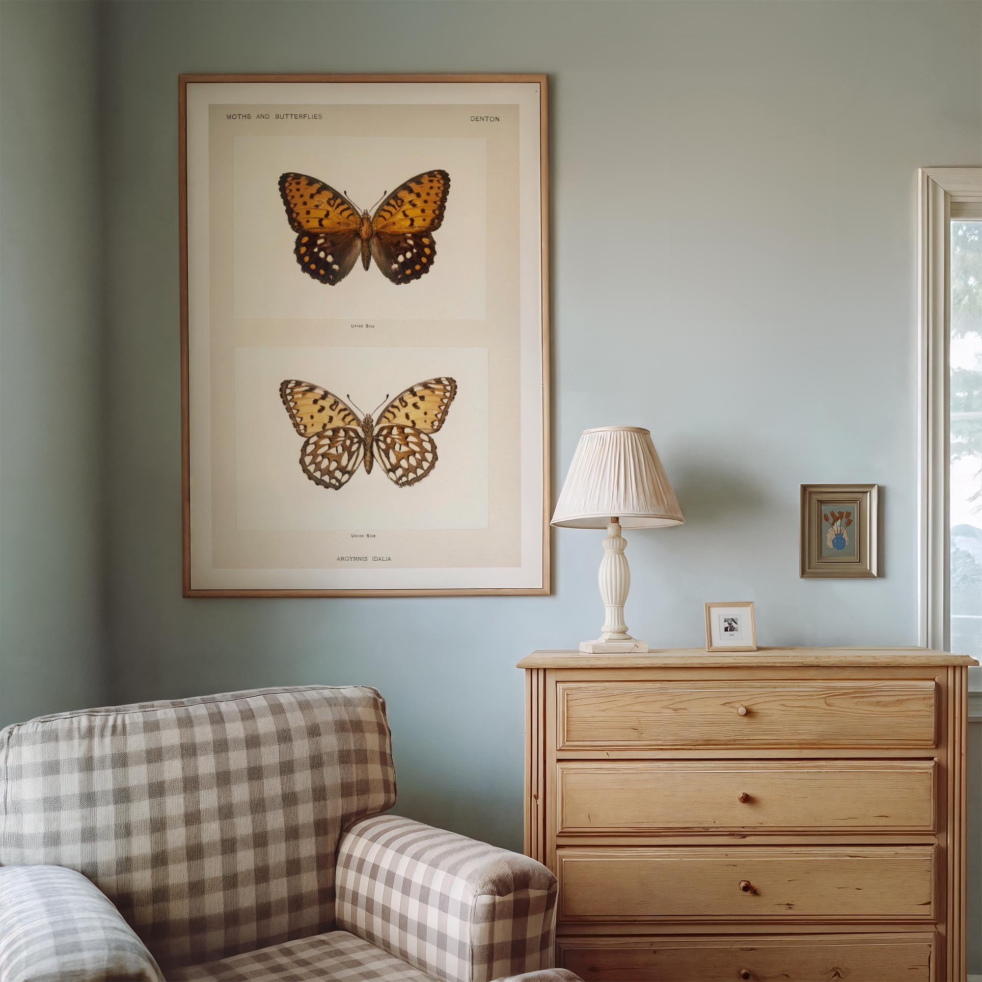 Butterfly and Moth Vintage Wall Art Print-Skudaboo