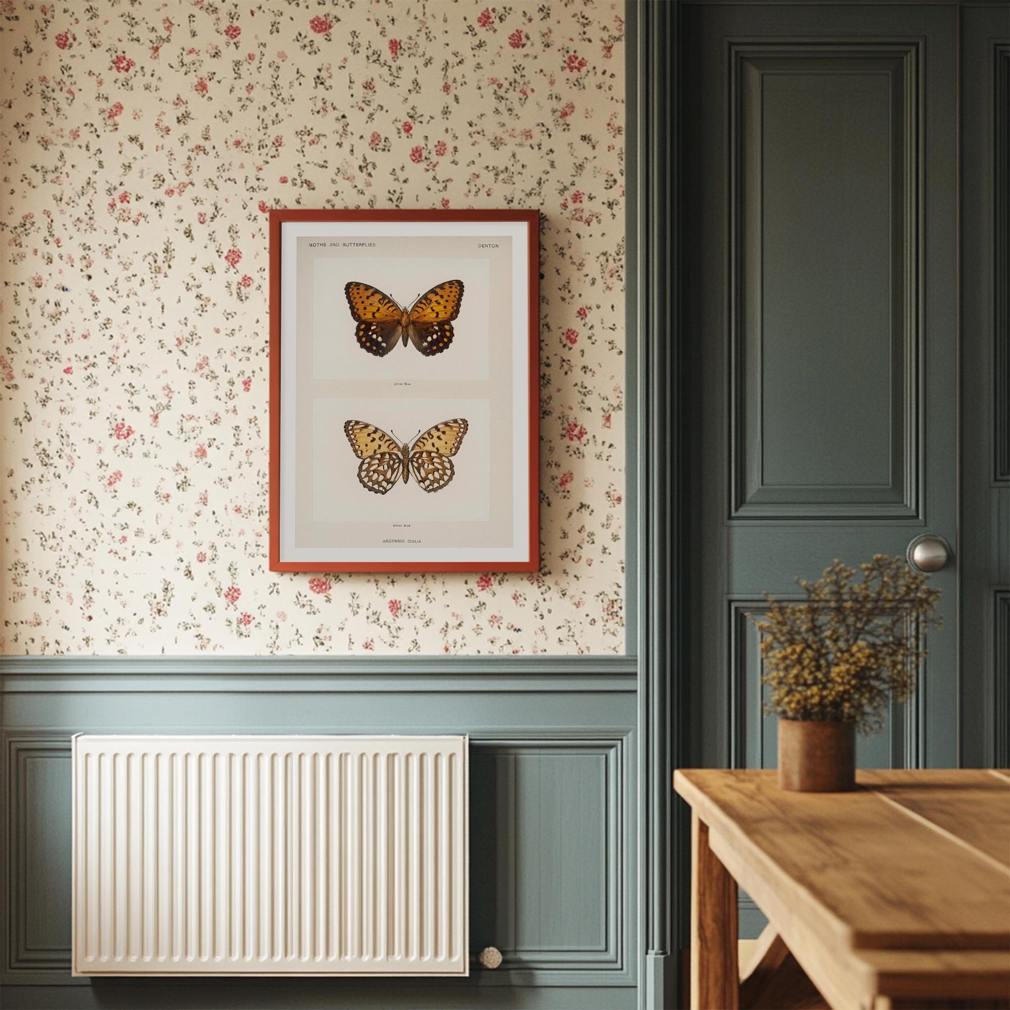 Butterfly and Moth Vintage Wall Art Print-Skudaboo