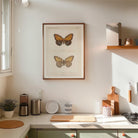 Butterfly and Moth Vintage Wall Art Print-Skudaboo