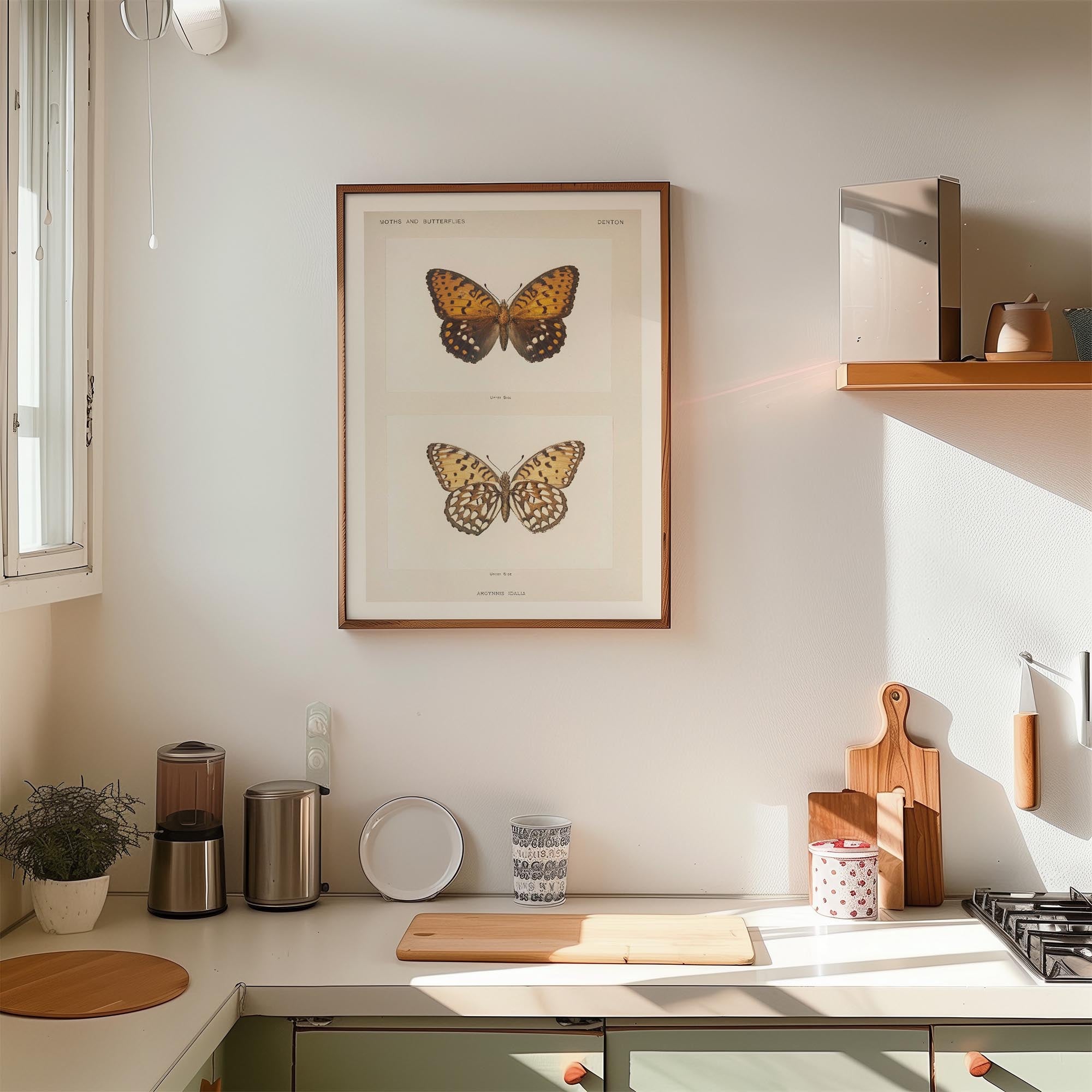 Butterfly and Moth Vintage Wall Art Print-Skudaboo