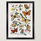 Butterfly and Moth Vintage Wall Art Print-Skudaboo