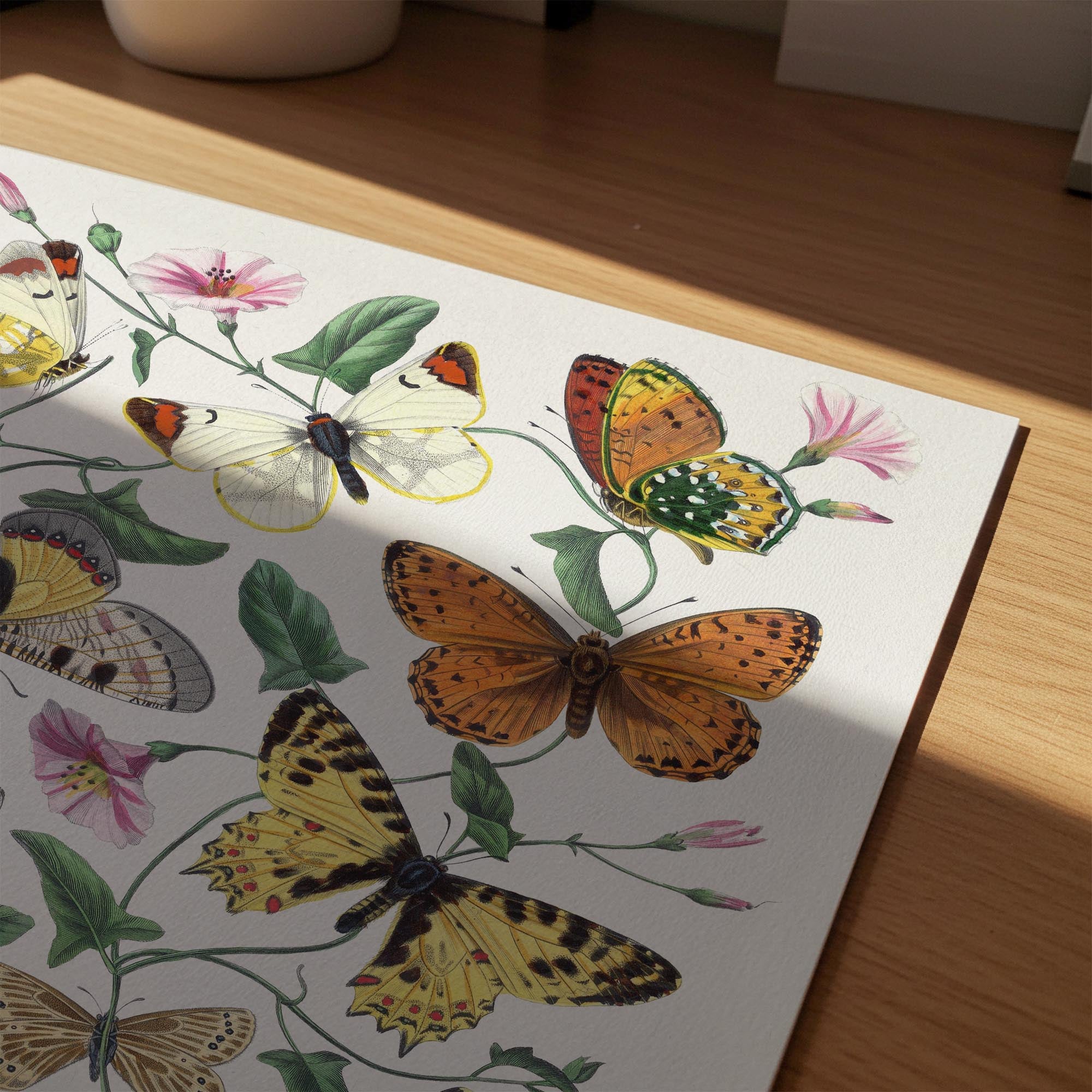 Butterfly and Moth Vintage Wall Art Print-Skudaboo