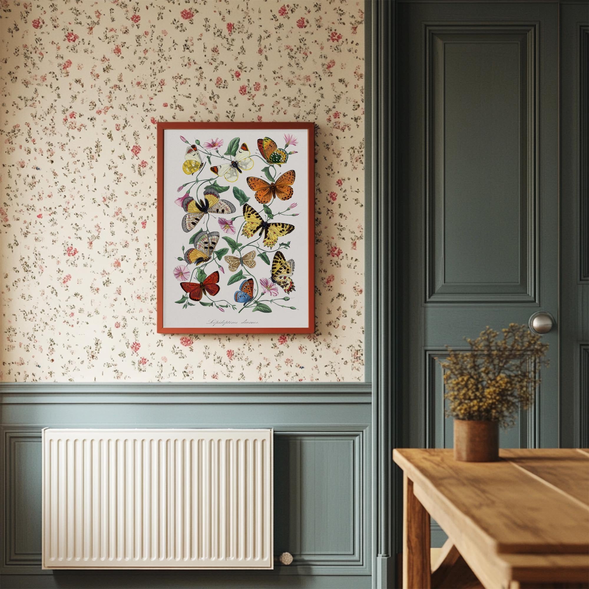 Butterfly and Moth Vintage Wall Art Print-Skudaboo