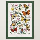 Butterfly and Moth Vintage Wall Art Print-Skudaboo