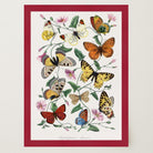 Butterfly and Moth Vintage Wall Art Print-Skudaboo