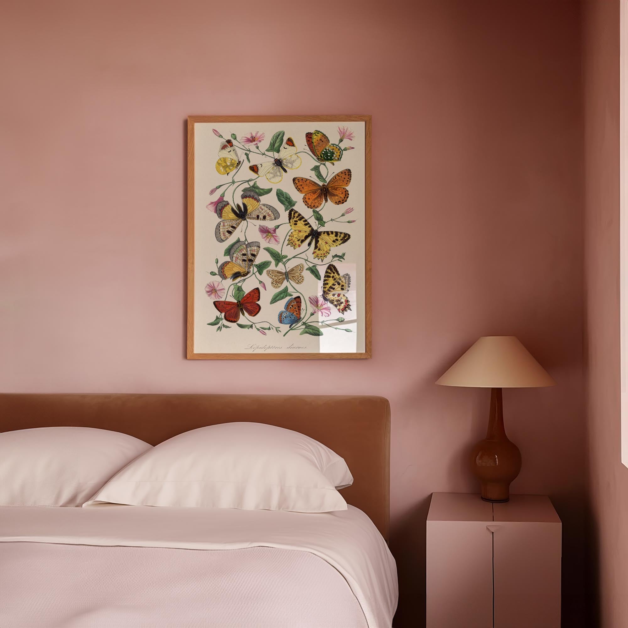 Butterfly and Moth Vintage Wall Art Print-Skudaboo