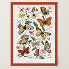 Butterfly and Moth Vintage Wall Art Print-Skudaboo