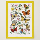 Butterfly and Moth Vintage Wall Art Print-Skudaboo