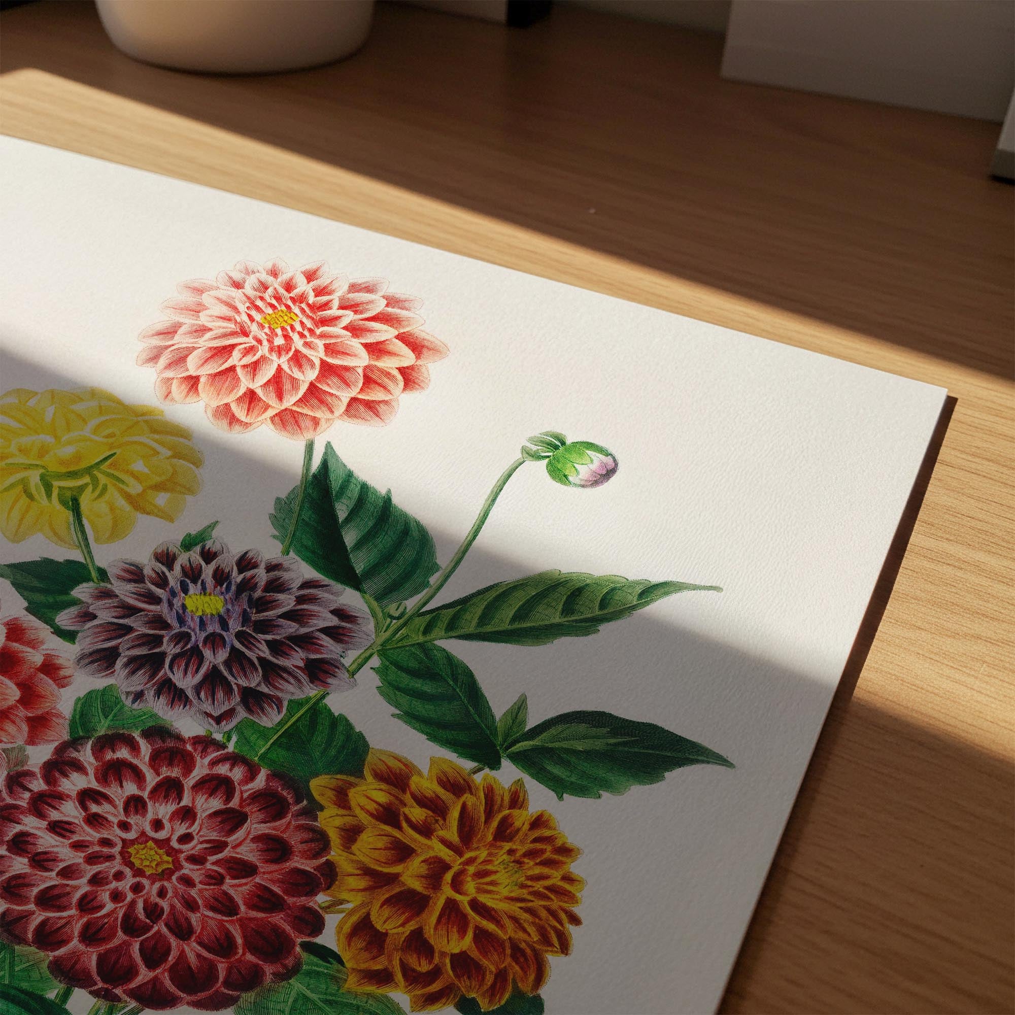Dahlia Floral Vintage Botanical Wall Art Print-Skudaboo