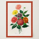 Dahlia Floral Vintage Botanical Wall Art Print-Skudaboo