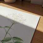 Elderflower Botanical Vintage Art Print-Skudaboo
