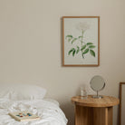 Elderflower Botanical Vintage Art Print-Skudaboo