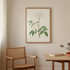 Elderflower Botanical Vintage Art Print-Skudaboo
