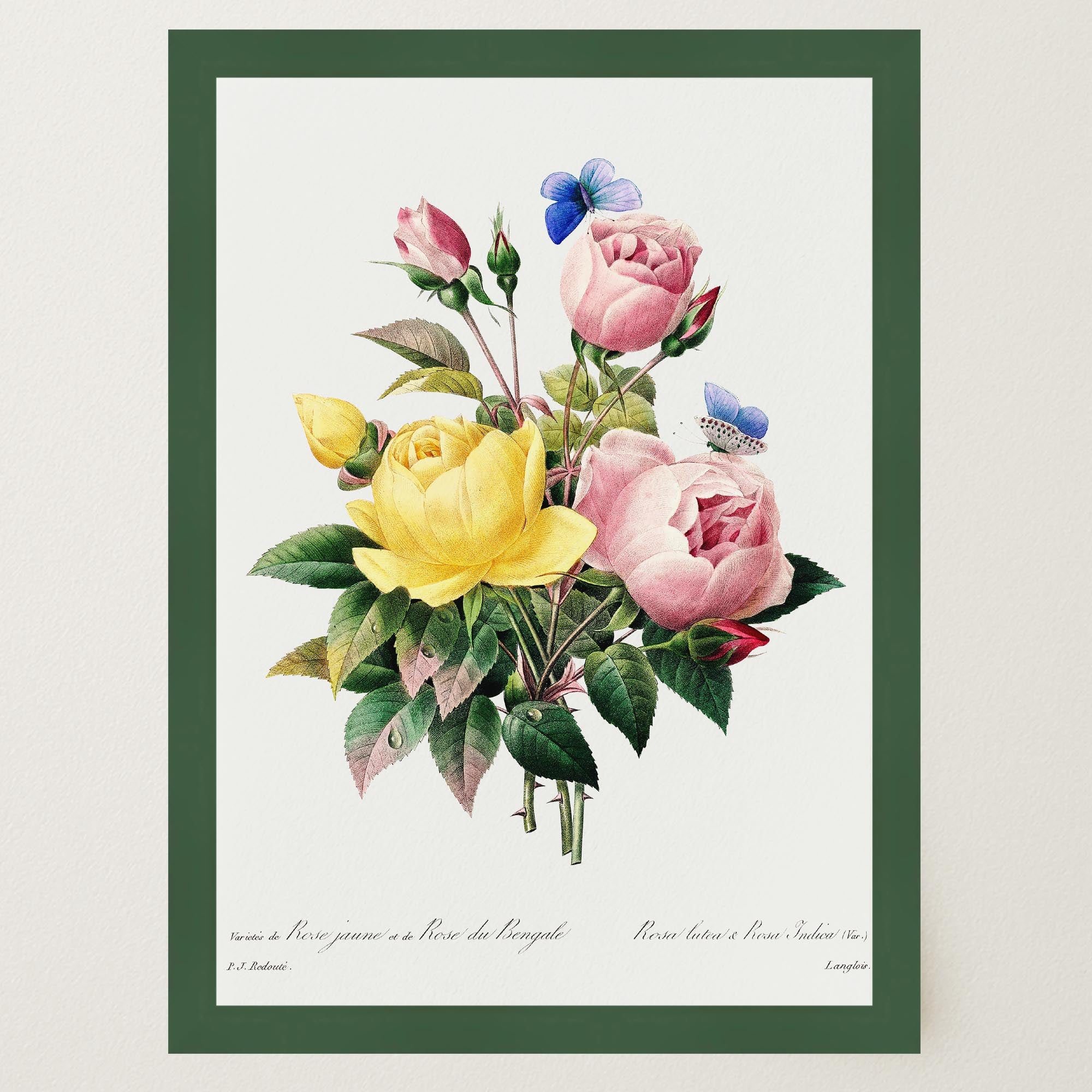 Vintage Rose Botanical Wall Art Print-Skudaboo