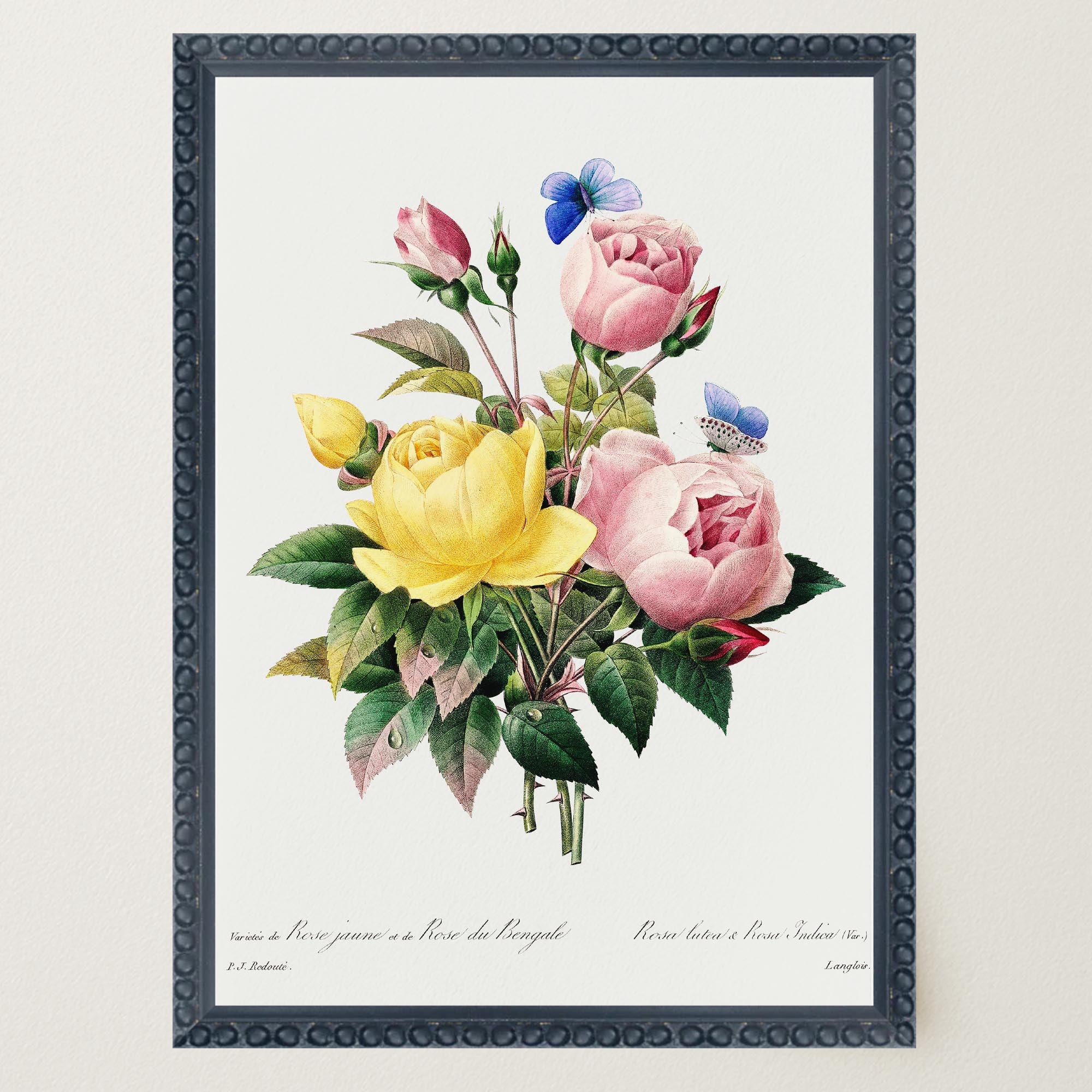 Vintage Rose Botanical Wall Art Print-Skudaboo