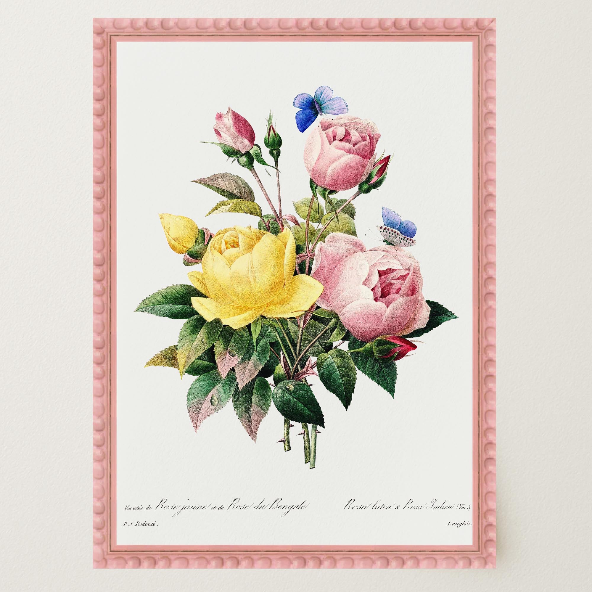 Vintage Rose Botanical Wall Art Print-Skudaboo