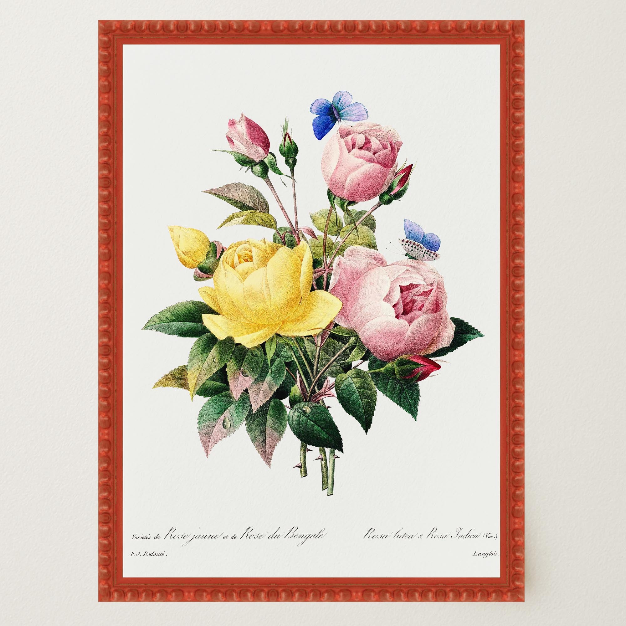 Vintage Rose Botanical Wall Art Print-Skudaboo