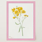 Yellow Wildflower Vintage Botanical Wall Art Print-Skudaboo