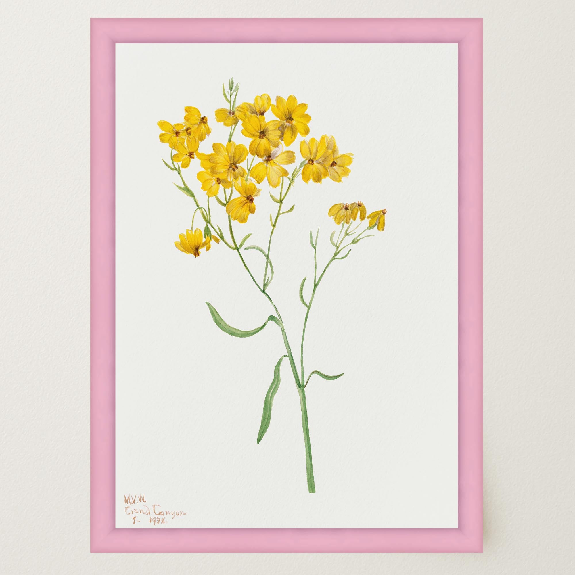 Yellow Wildflower Vintage Botanical Wall Art Print-Skudaboo