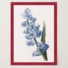 Blue Hyacinth Vintage Botanical Wall Art Print-Skudaboo