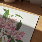 Pink Rhododendron Vintage Botanical Wall Art Print-Skudaboo