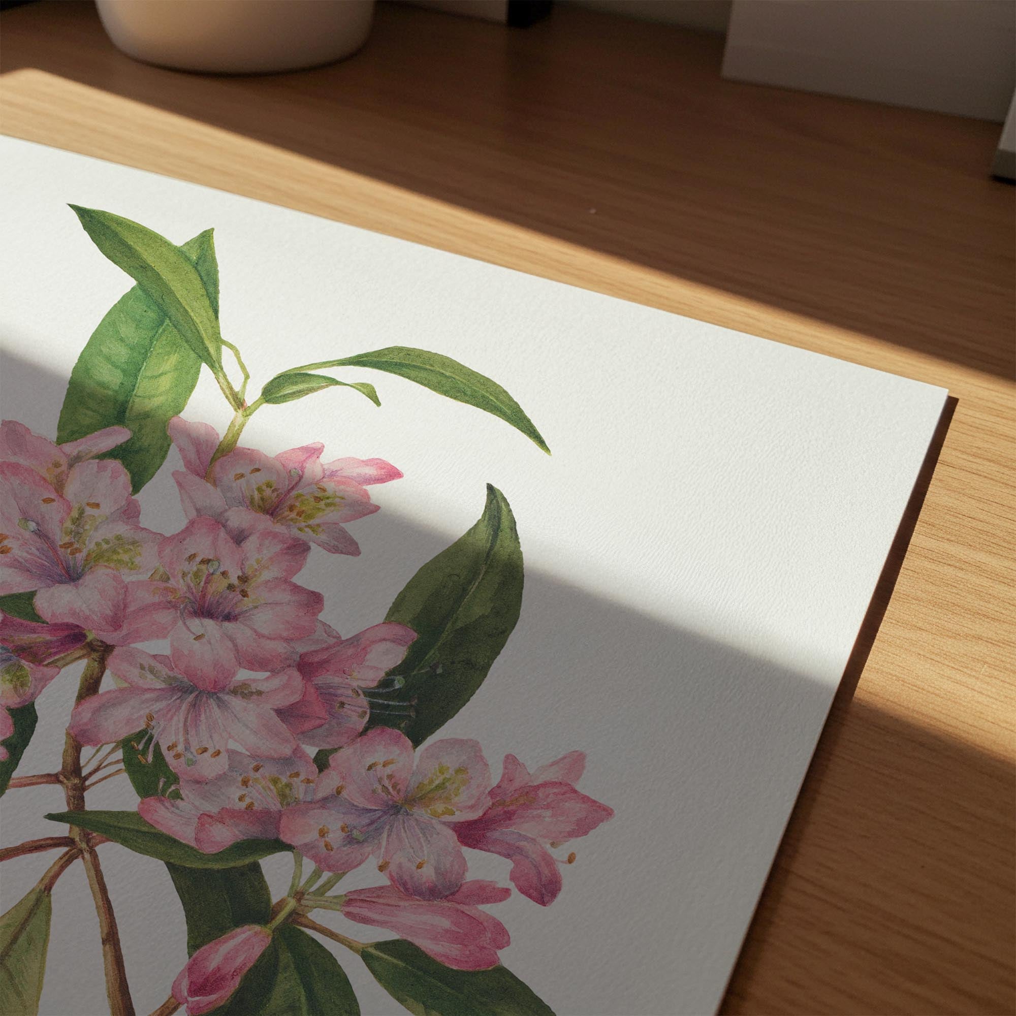 Pink Rhododendron Vintage Botanical Wall Art Print-Skudaboo