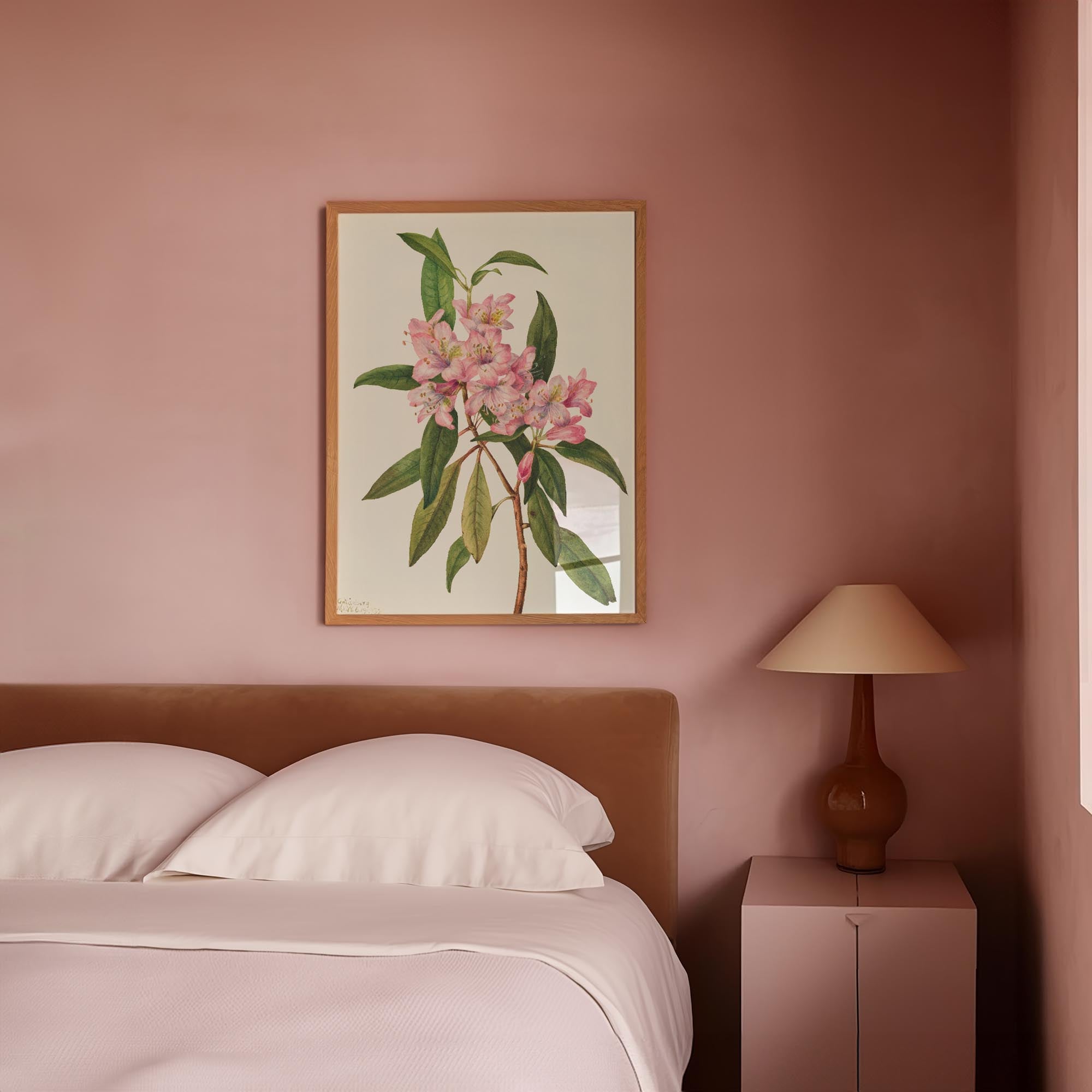 Pink Rhododendron Vintage Botanical Wall Art Print-Skudaboo