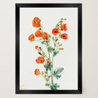 Red Poppy Flower Vintage Botanical Wall Art Print-Skudaboo
