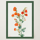 Red Poppy Flower Vintage Botanical Wall Art Print-Skudaboo