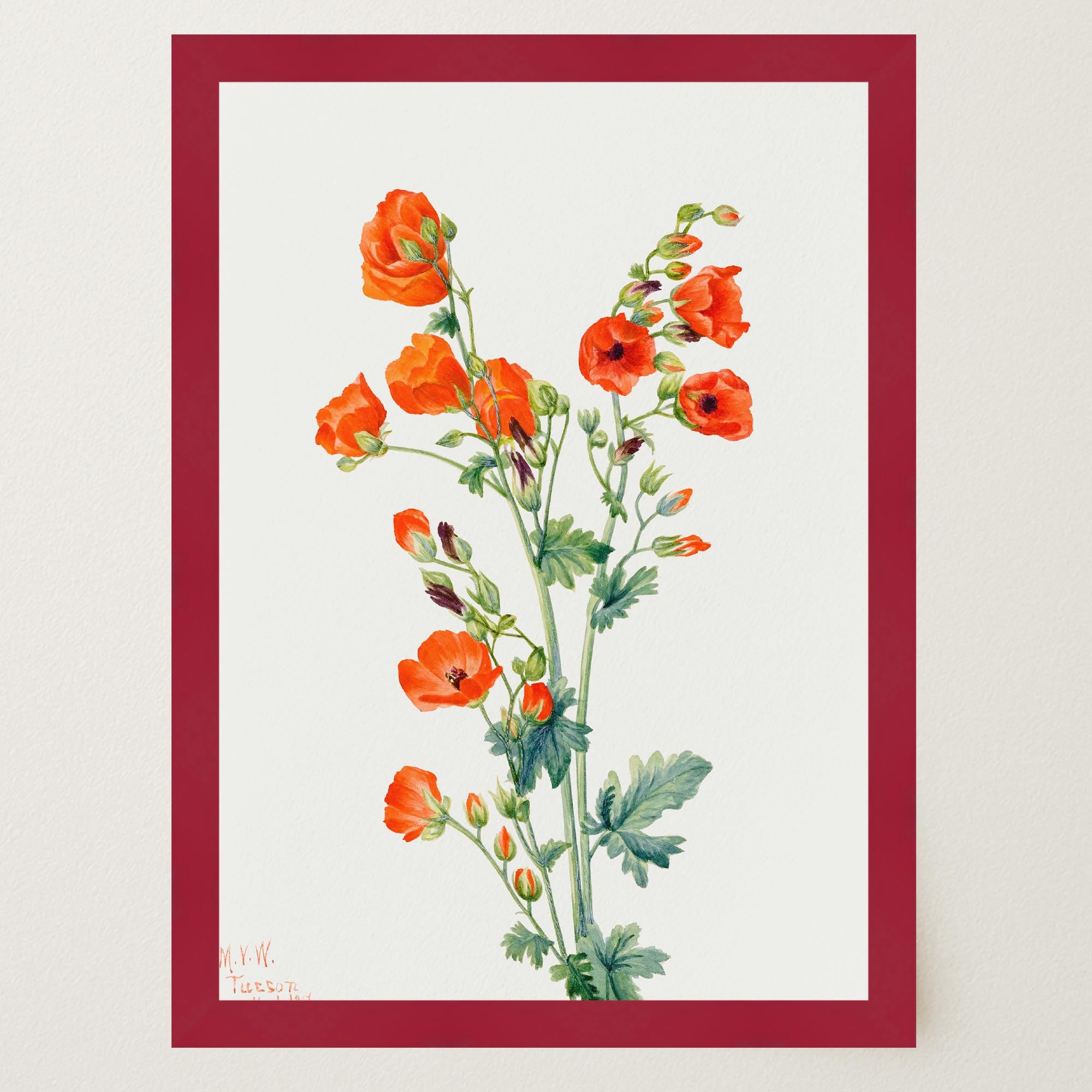 Red Poppy Flower Vintage Botanical Wall Art Print-Skudaboo