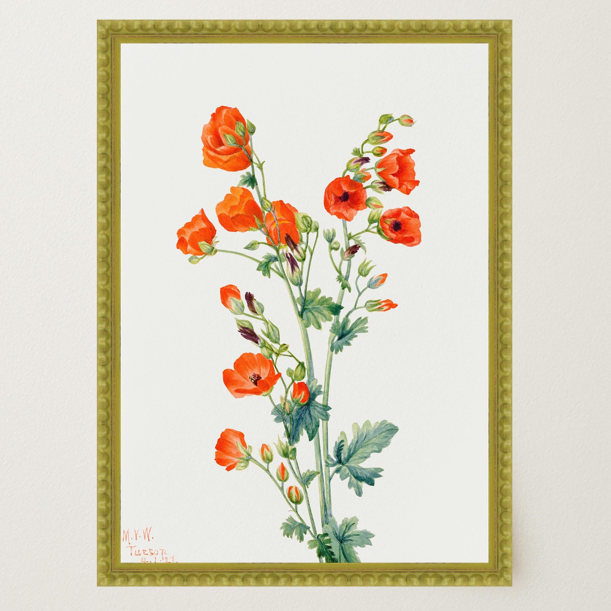 Red Poppy Flower Vintage Botanical Wall Art Print-Skudaboo