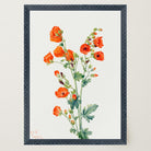 Red Poppy Flower Vintage Botanical Wall Art Print-Skudaboo